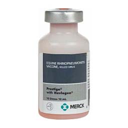Prestige (EHV-1 + EHV-4) Equine Vaccine Merck